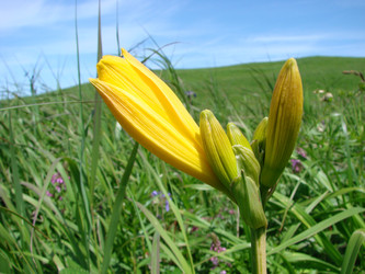 Similar image 2998809