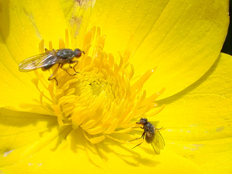 Similar image 2998810