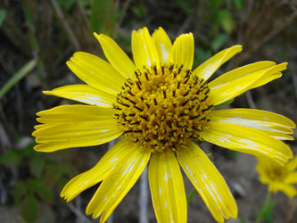 Similar image 2998811