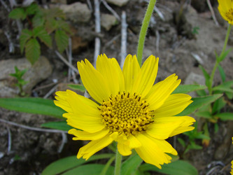 Similar image 2998812