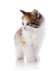 Similar image 2998863