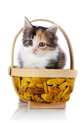 Similar image 2998866