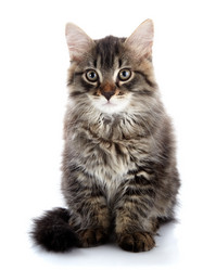 Similar image 2998869