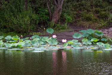 Similar image 2998923