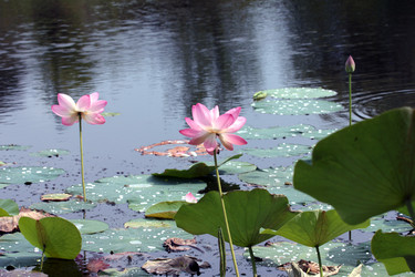 Similar image 2998943