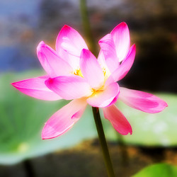 Similar image 2998946