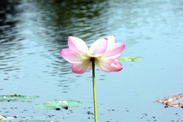 Similar image 2998951