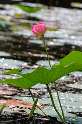 Similar image 2998952