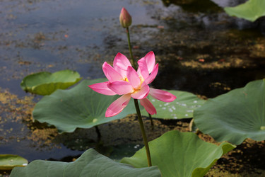 Similar image 2998954