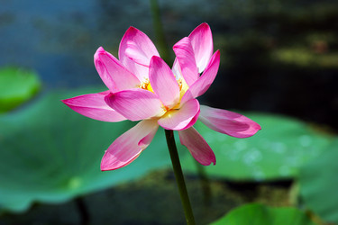 Similar image 2998955