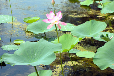 Similar image 2998956