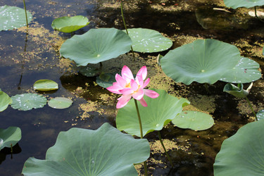 Similar image 2998957