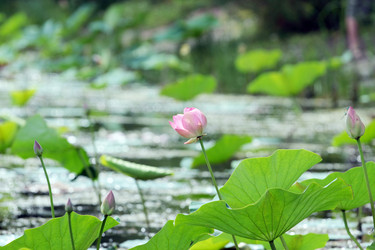 Similar image 2998958