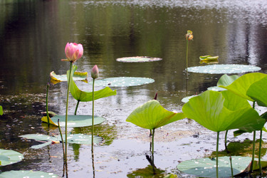 Similar image 2998959