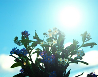 Similar image 2998962