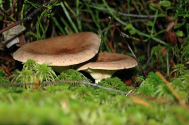 Similar image 2998967