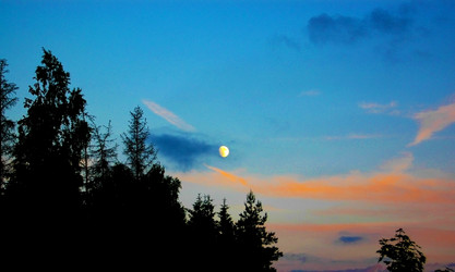 Similar image 2998977