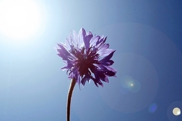 Similar image 2998981