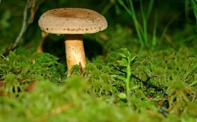 Similar image 2998982