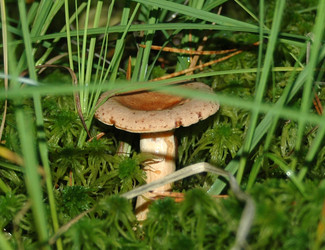 Similar image 2998983