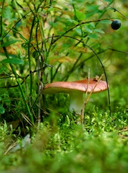 Similar image 2998984