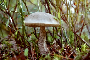 Similar image 2998985