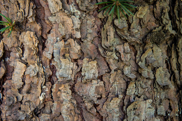 Similar image 2998986