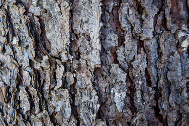 Similar image 2998988