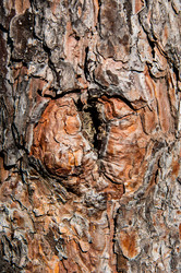 Similar image 2998989