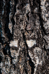 Similar image 2998991