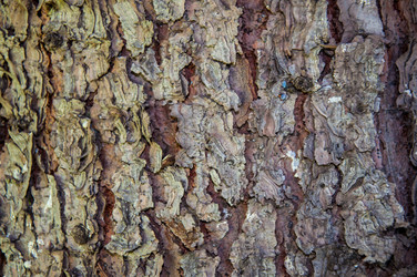 Similar image 2998992