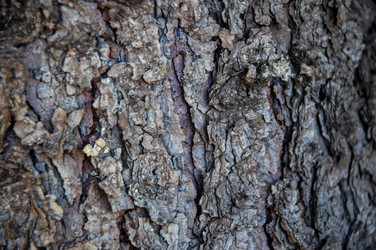 Similar image 2998994