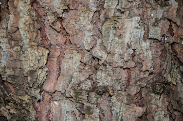 Similar image 2998995