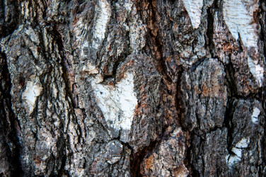 Similar image 2998997