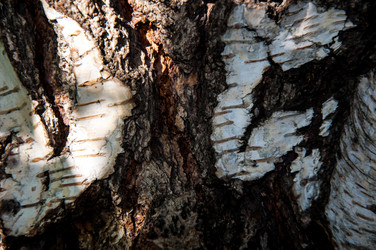 Similar image 2998998