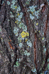 Similar image 2999000