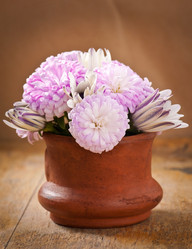 Similar image 2999012