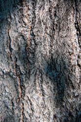 Similar image 2999013