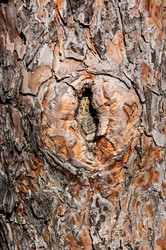 Similar image 2999014