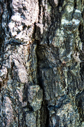 Similar image 2999017