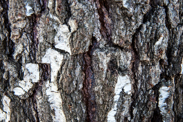 Similar image 2999021