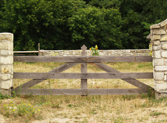 Similar image 2999090