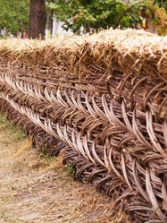 Similar image 2999094