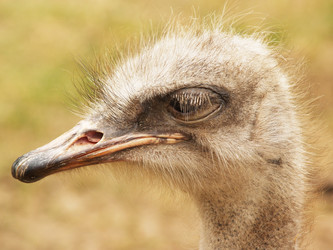 Similar image 2999101