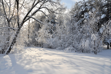 Similar image 2999415