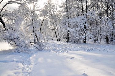 Similar image 2999421