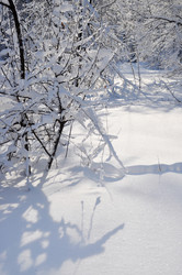 Similar image 2999424