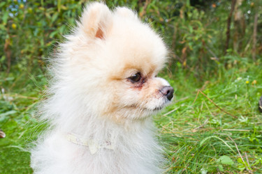 Similar image 2999432