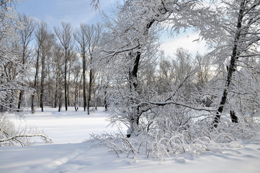 Similar image 2999491