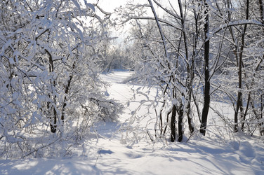 Similar image 2999501